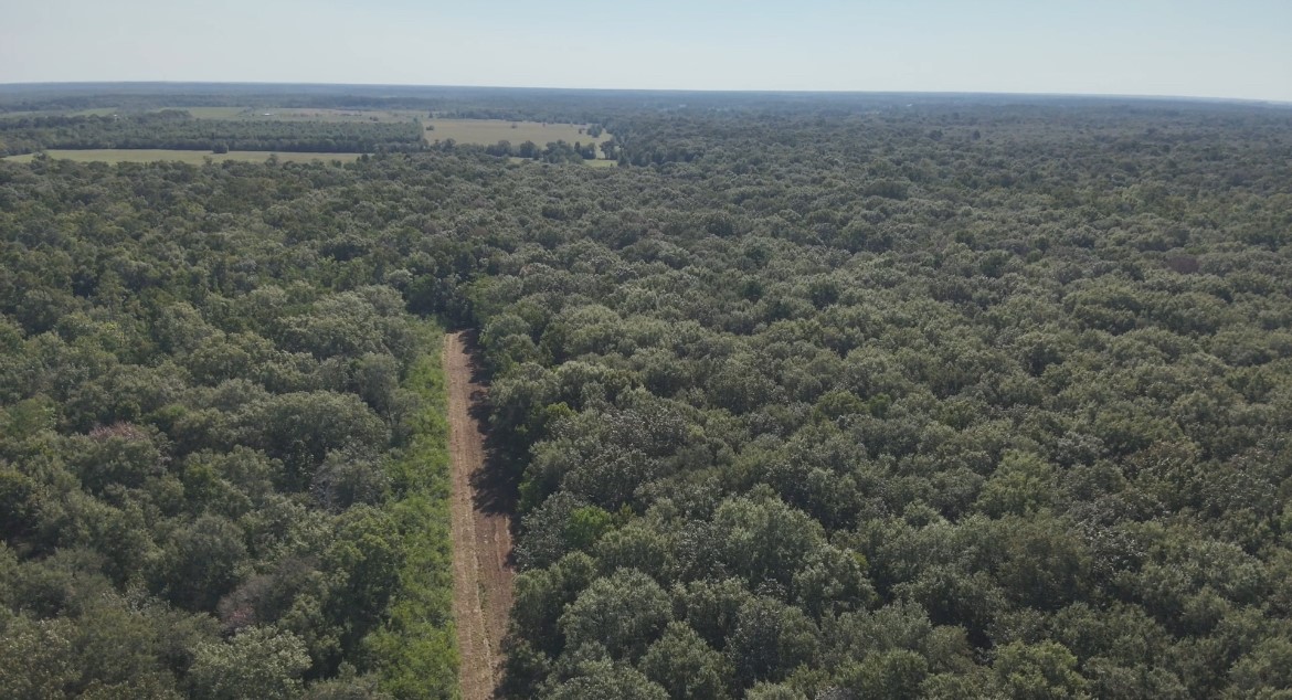 Na McGuire Road Liberty, TX 77575 - Photo 23 of 42
