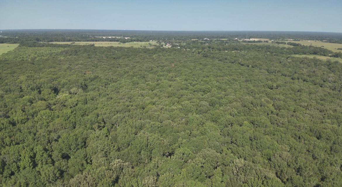 Na McGuire Road Liberty, TX 77575 - Photo 24 of 42