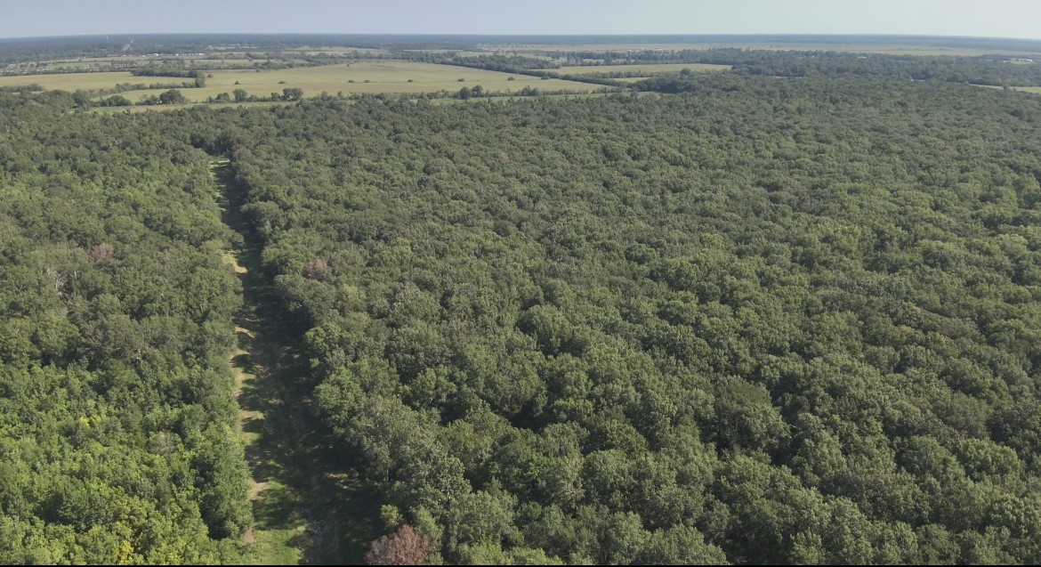 Na McGuire Road Liberty, TX 77575 - Photo 26 of 42