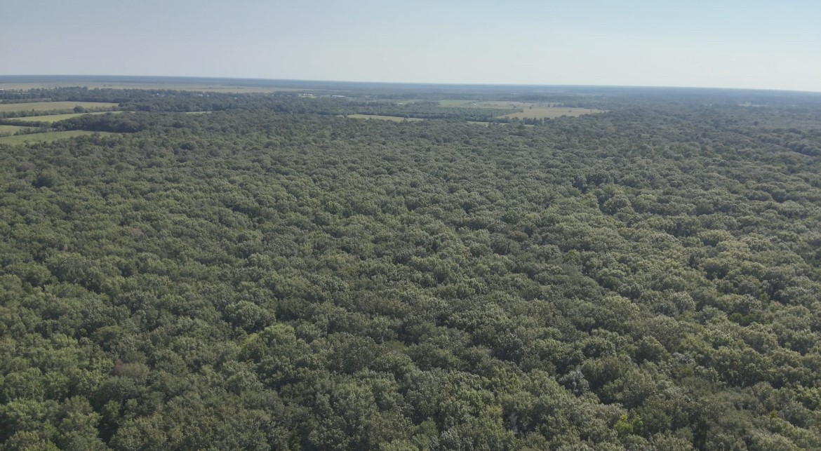 Na McGuire Road Liberty, TX 77575 - Photo 27 of 42