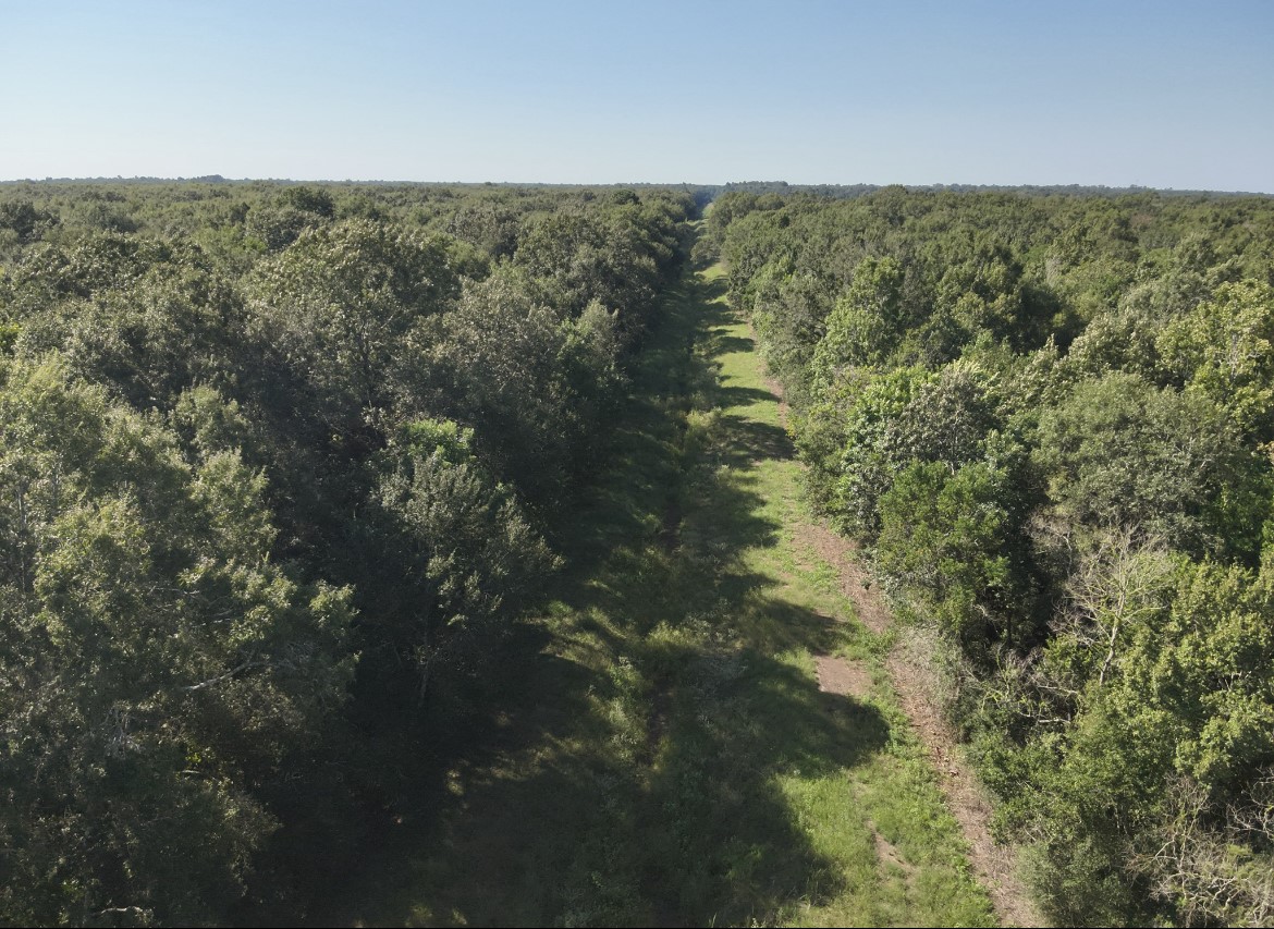 Na McGuire Road Liberty, TX 77575 - Photo 29 of 42