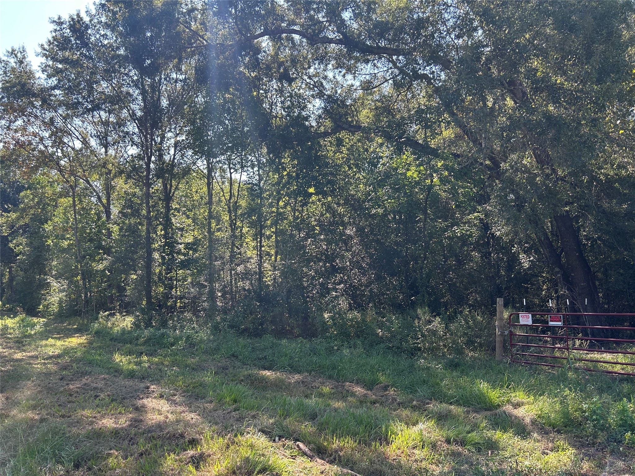 Na McGuire Road Liberty, TX 77575 - Photo 4 of 42