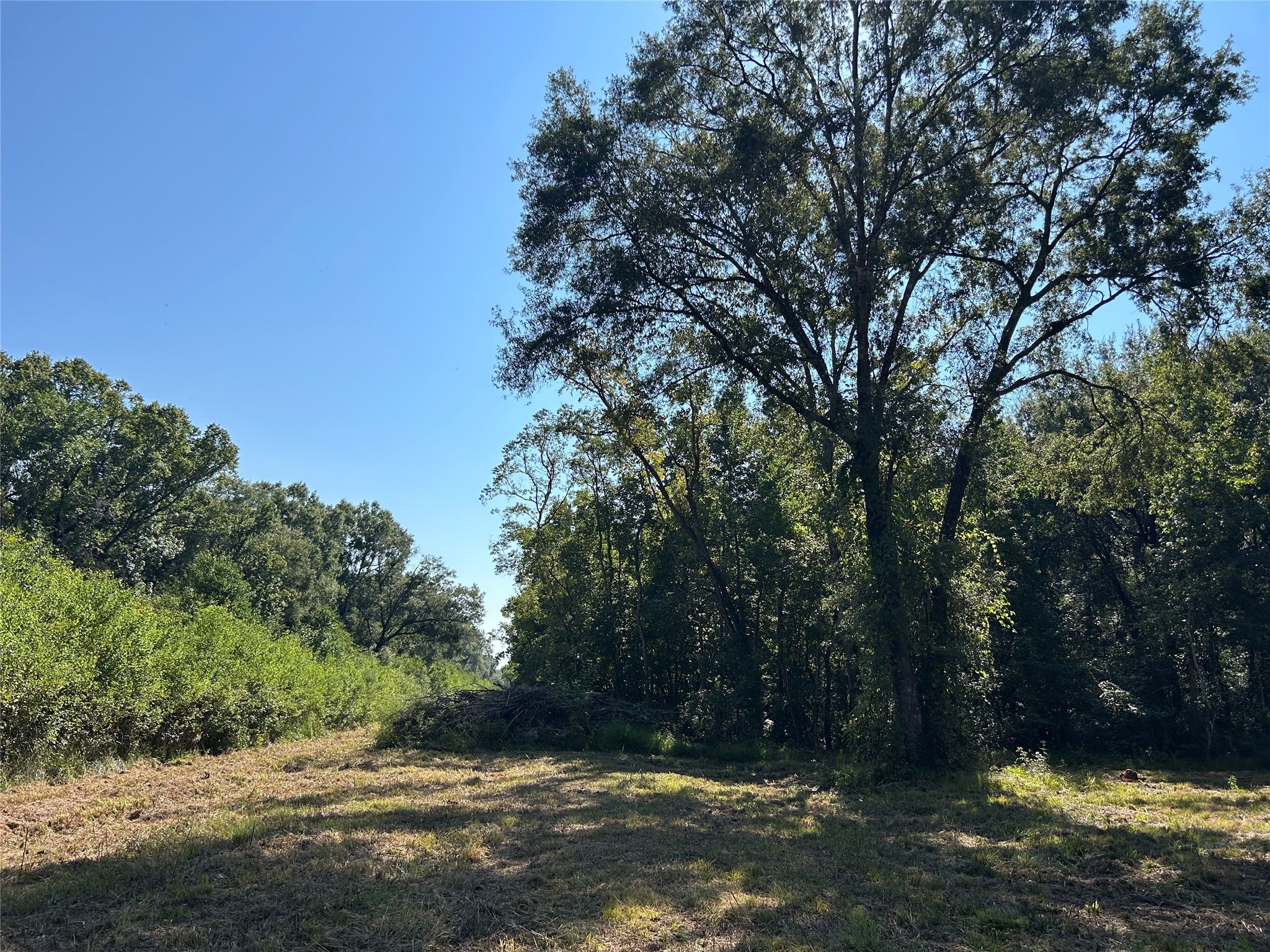 Na McGuire Road Liberty, TX 77575 - Photo 7 of 42