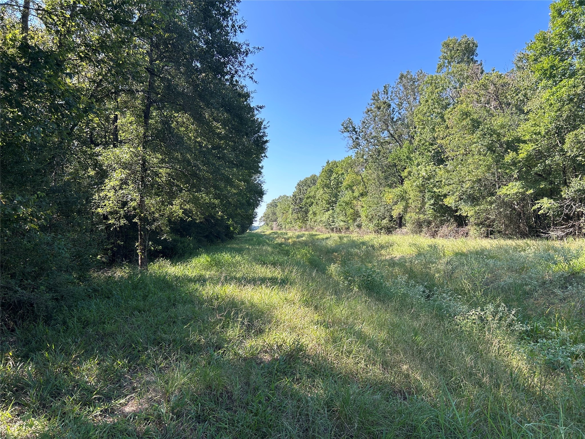 Na McGuire Road Liberty, TX 77575 - Photo 10 of 42