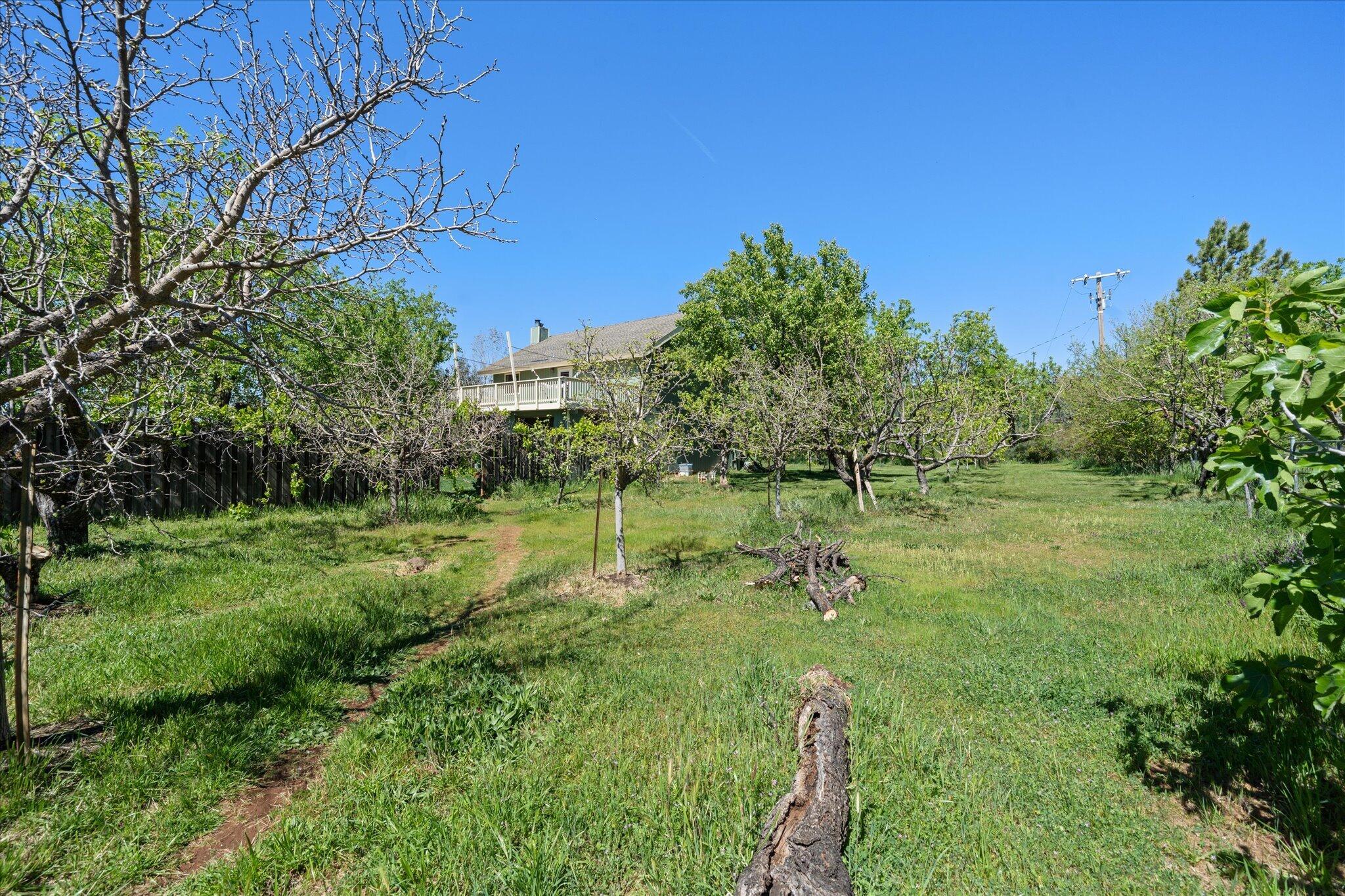 32135 Rock Creek Road Manton, CA 96059 - Photo 51 of 72 50-BiggerFlow Real Estate Media-50