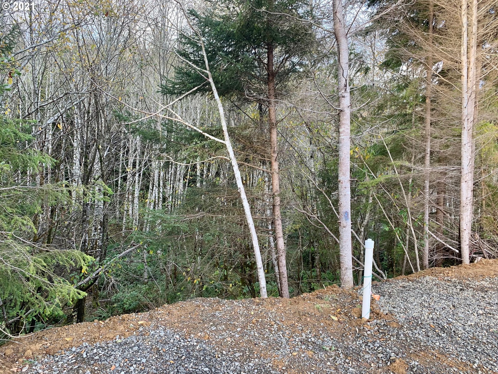 480 Providence Drive Reedsport, OR 97467 - Photo 6 of 9 Gallery Image 6