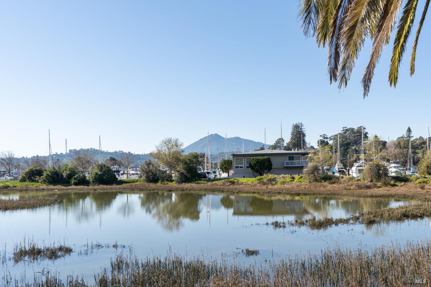 44 Summit Avenue San Rafael, CA 94901 - Photo 61 of 65