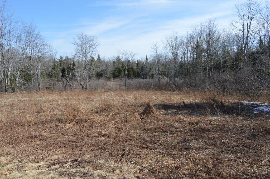 247 Whitcomb Road Belfast, ME 04915 - Photo 18 of 25 Photo