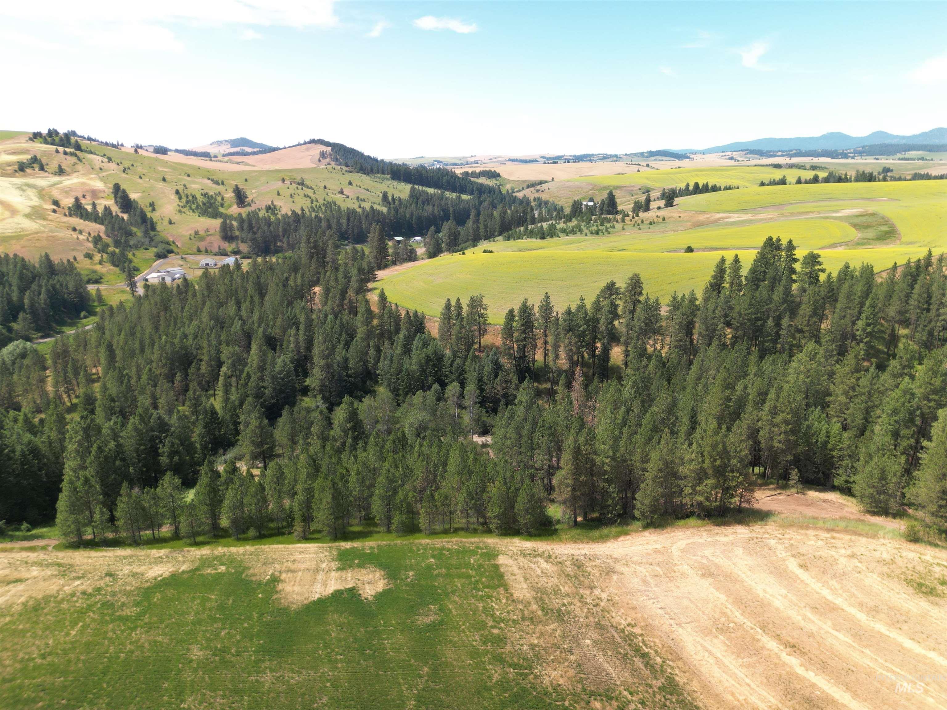 0 Parkins Road Troy, ID 83871 - Photo 21 of 33