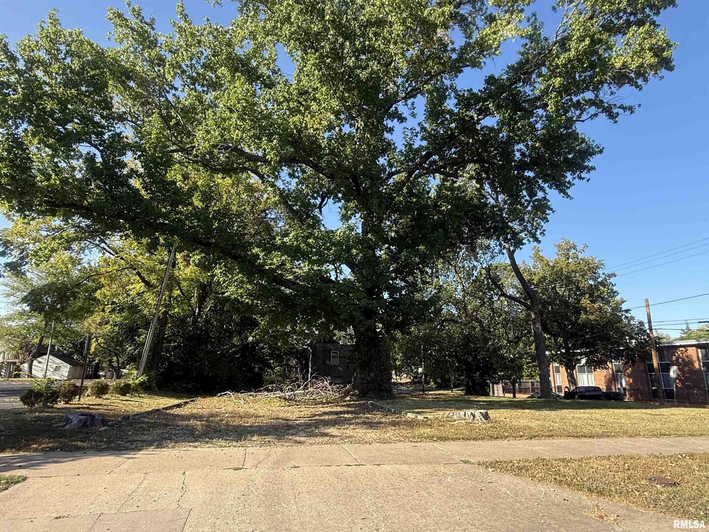 604 South Rawlings Street Carbondale, IL 62901 - Photo 4 of 11