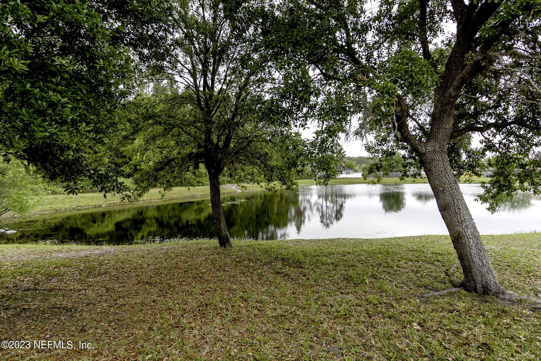 1490 Seawolf Trail Jacksonville, FL 32221 - Photo 32 of 36 a view of yard with tree