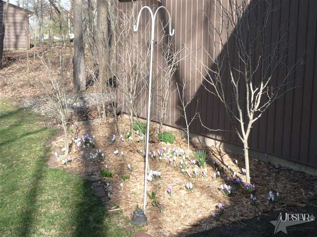 1336 Pion Road Fort Wayne, IN 46845 - Photo 3 of 14