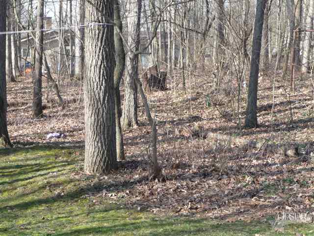 1336 Pion Road Fort Wayne, IN 46845 - Photo 4 of 14
