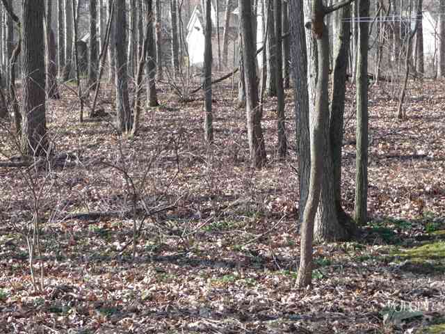1336 Pion Road Fort Wayne, IN 46845 - Photo 5 of 14