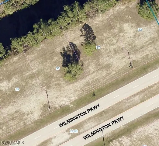 a close up of a plant