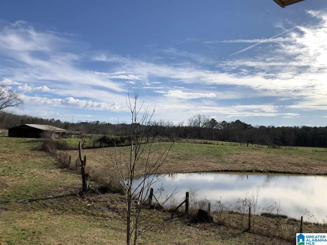 609 Cobb Brazeel Road Trafford, AL 35172 - Photo 19 of 42