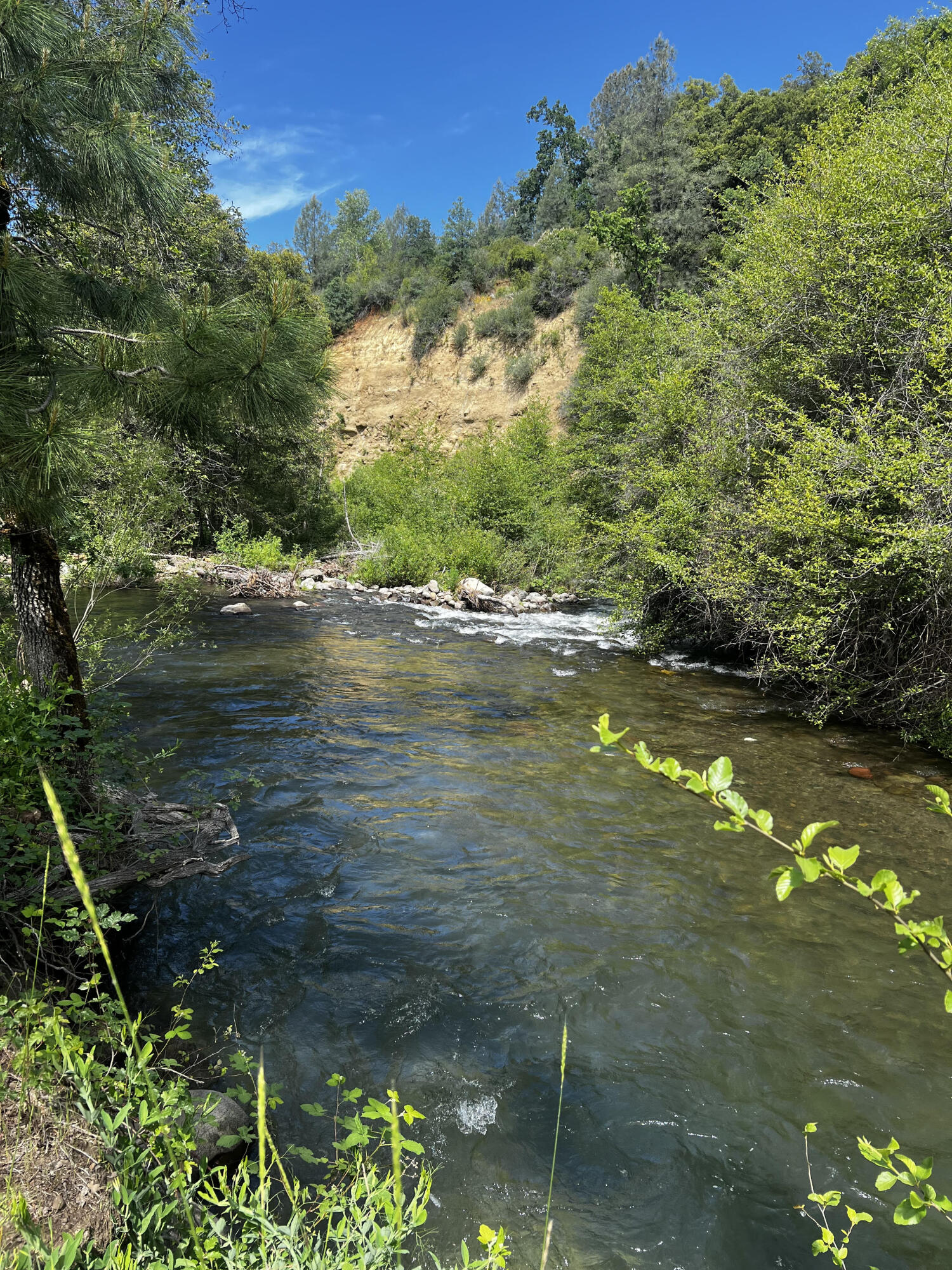 a view of a lake from a yard