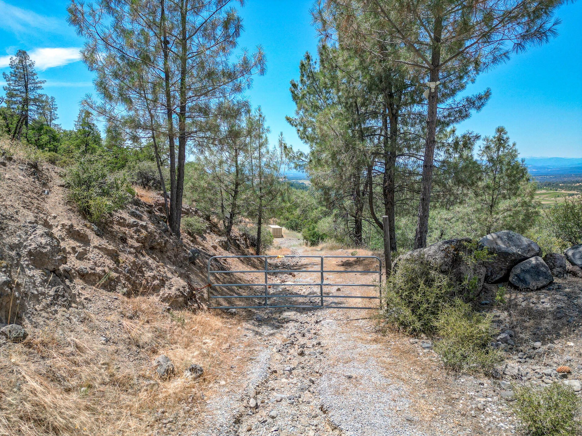 Hidden Springs Lane Whitmore, CA 96096 - Photo 16 of 21 a view of a yard with large trees