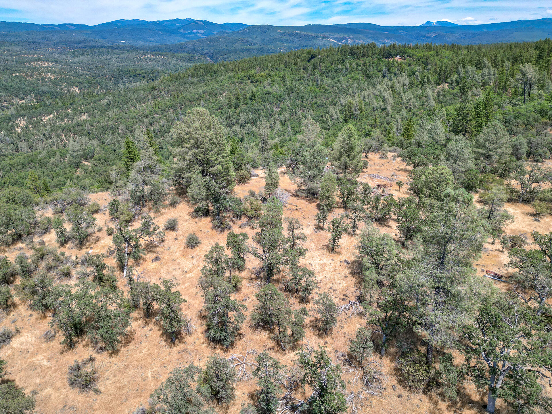 Hidden Springs Lane Whitmore, CA 96096 - Photo 20 of 21