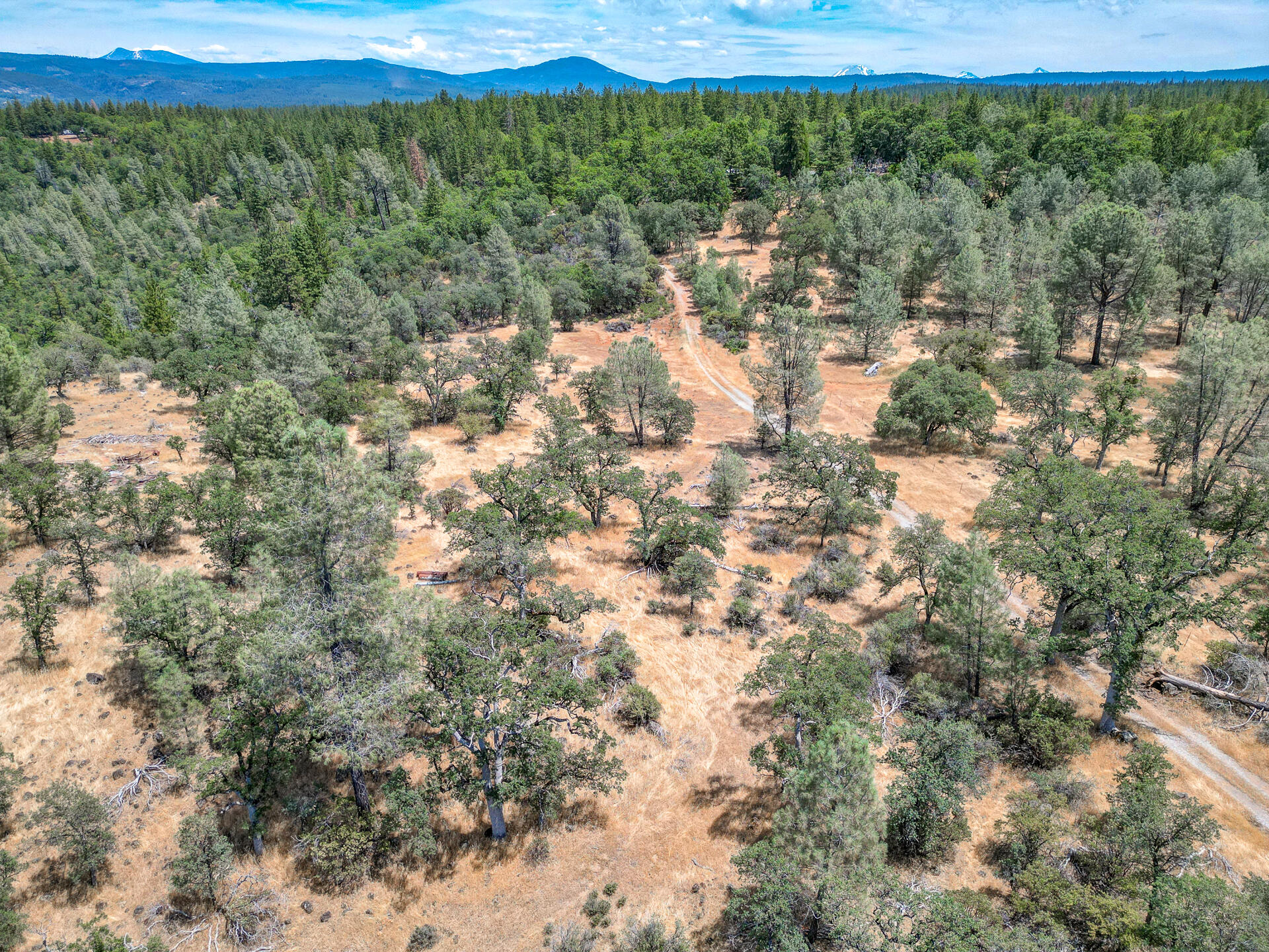 Hidden Springs Lane Whitmore, CA 96096 - Photo 21 of 21 a view of a lake with a mountain in the background