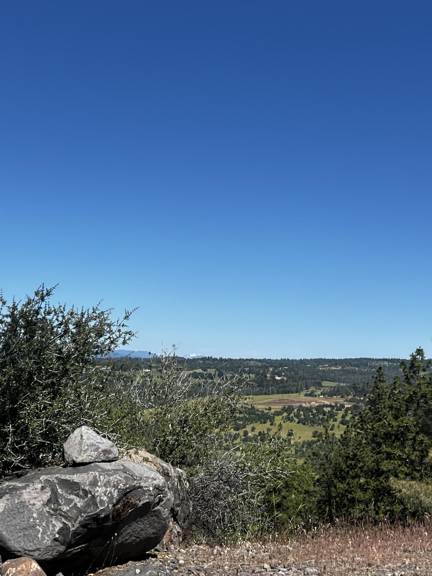 Hidden Springs Lane Whitmore, CA 96096 - Photo 3 of 21 a view of a ocean