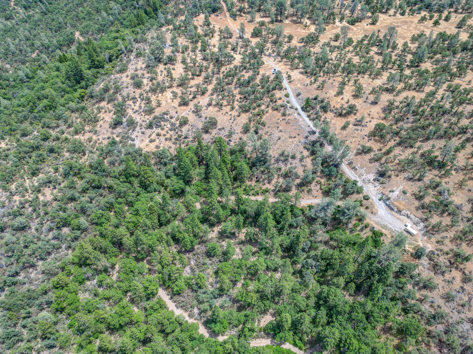 Hidden Springs Lane Whitmore, CA 96096 - Photo 9 of 21 an aerial view of residential house with outdoor space and trees all around