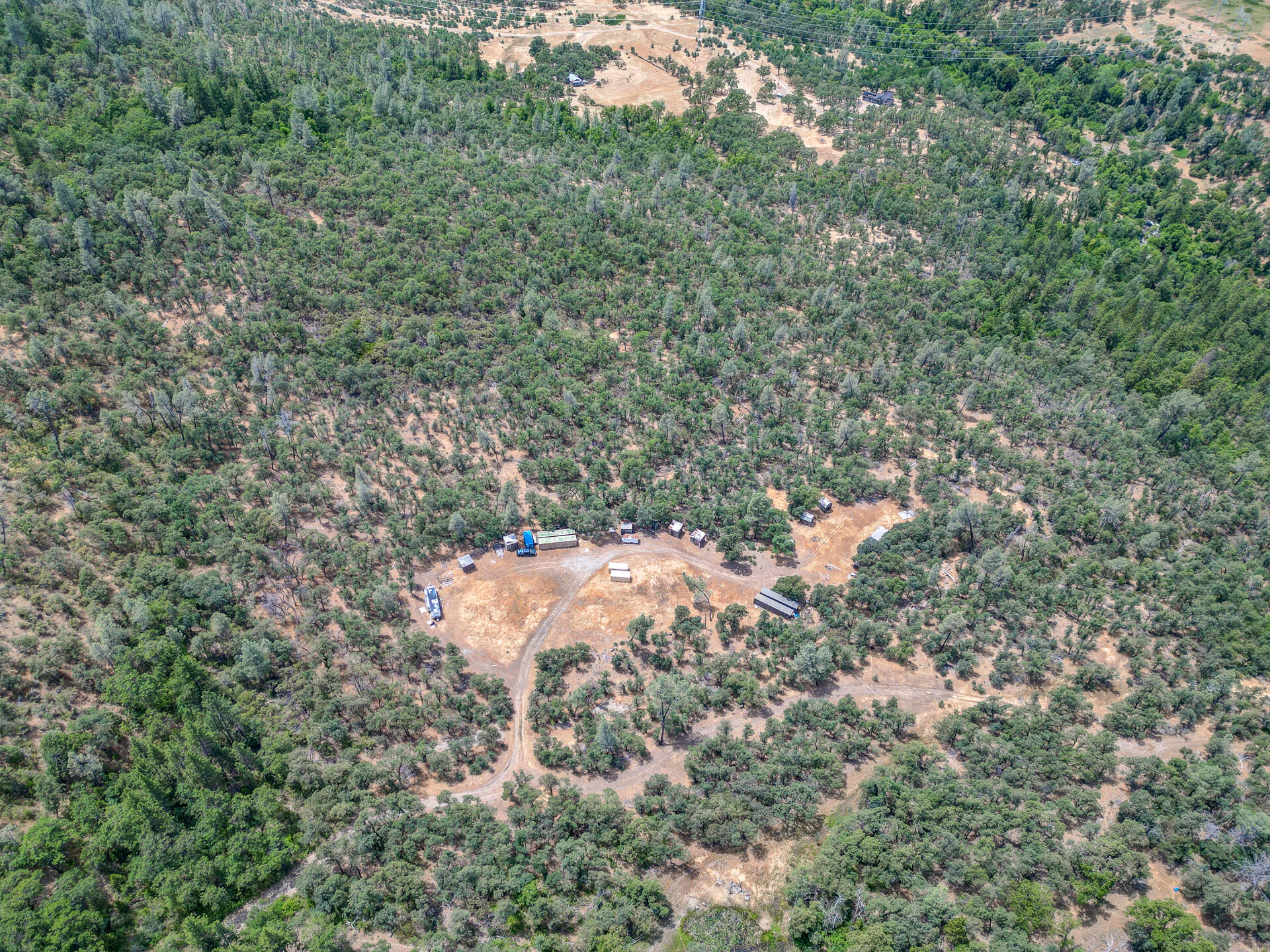 Hidden Springs Lane Whitmore, CA 96096 - Photo 10 of 21 a view of a tree in a yard