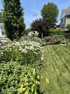 69 Foster Street Red Bank, NJ 07701 - Photo 49 of 56 yard in bloom