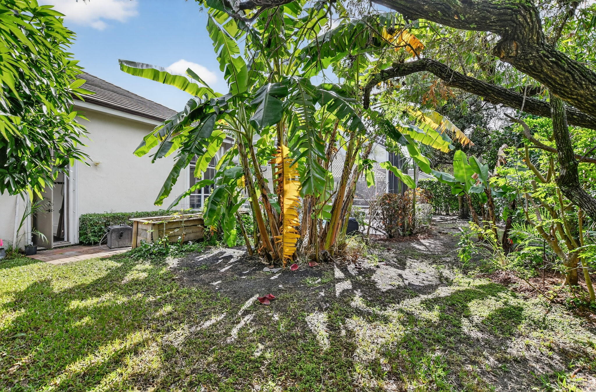 21719 Marigot Drive Boca Raton, FL 33428 - Photo 34 of 53 Banana Trees!