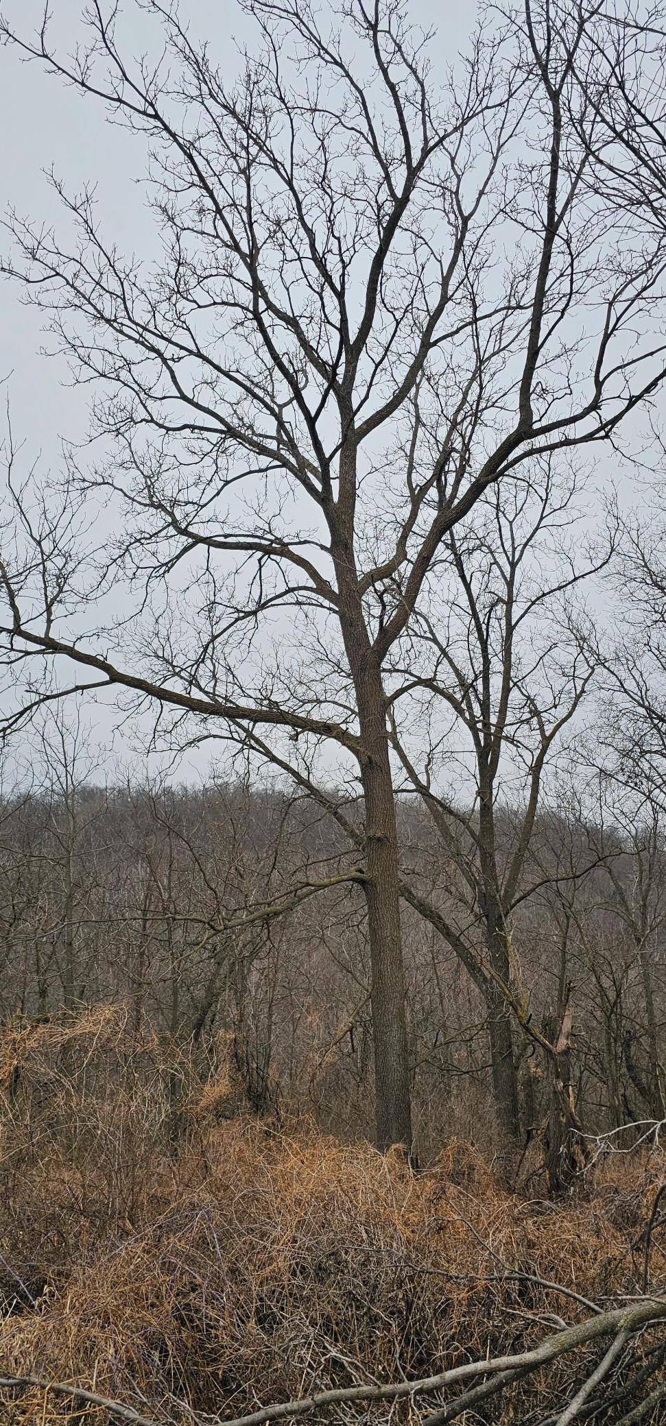 8492 Glory Road Houston, MN 55943 - Photo 63 of 111