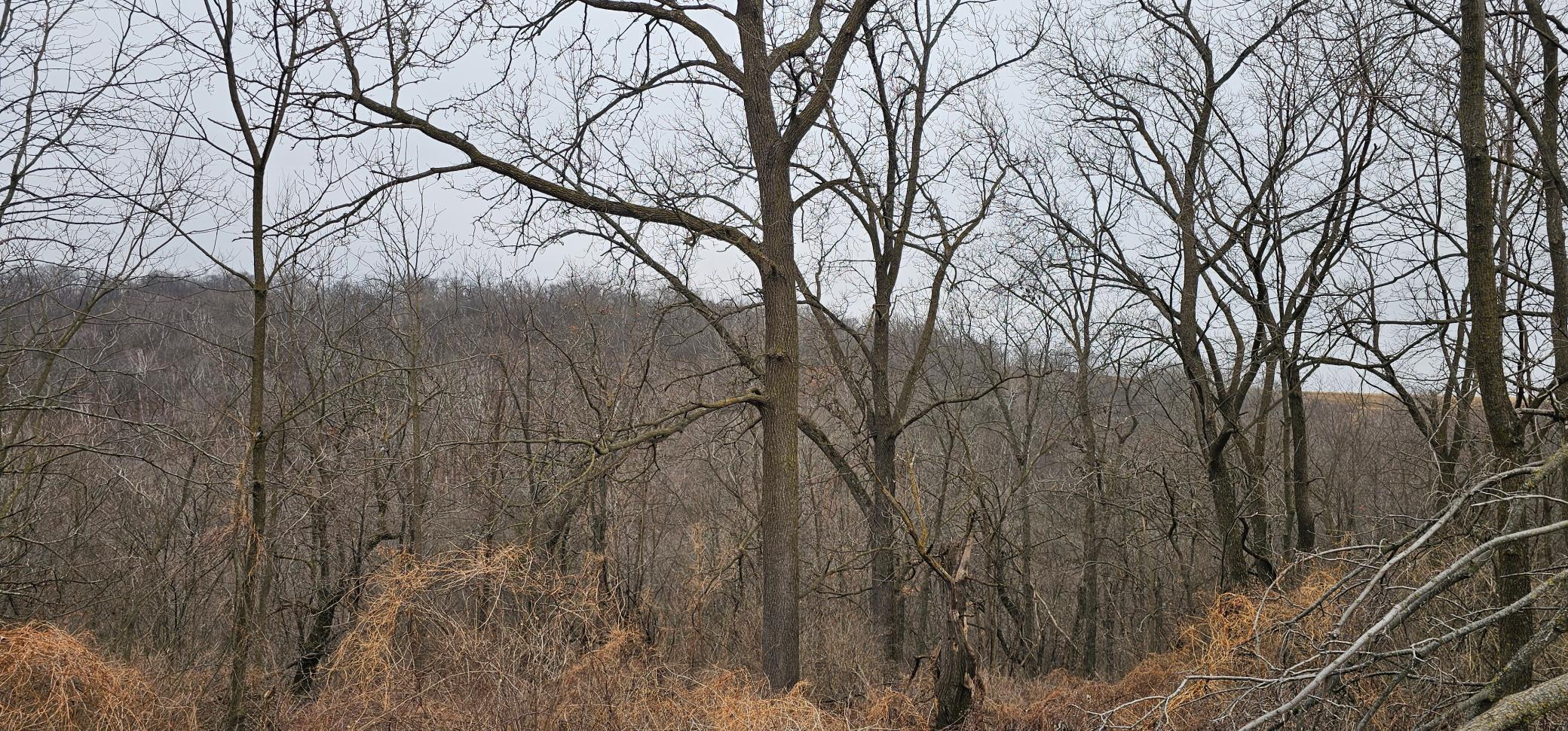 8492 Glory Road Houston, MN 55943 - Photo 64 of 111