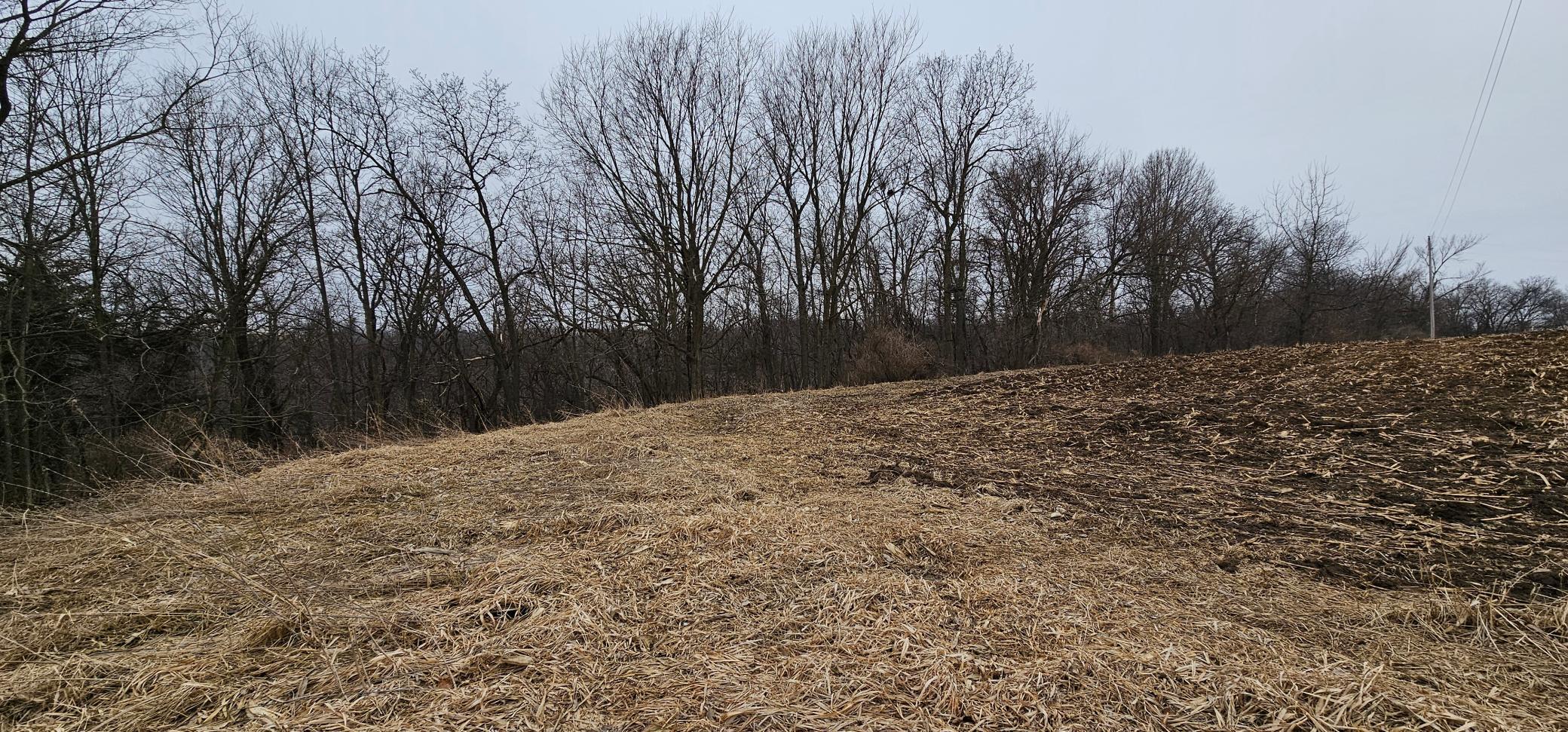 8492 Glory Road Houston, MN 55943 - Photo 66 of 111