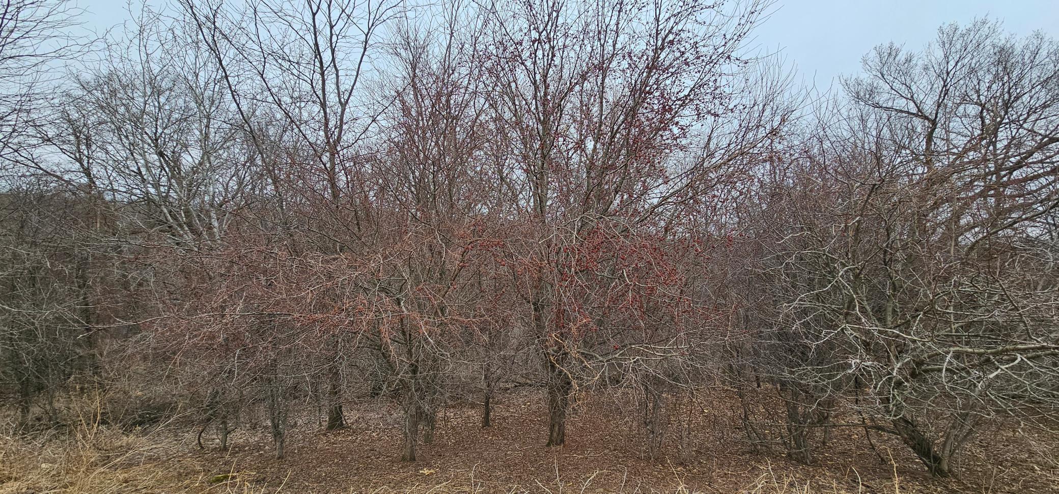 8492 Glory Road Houston, MN 55943 - Photo 67 of 111