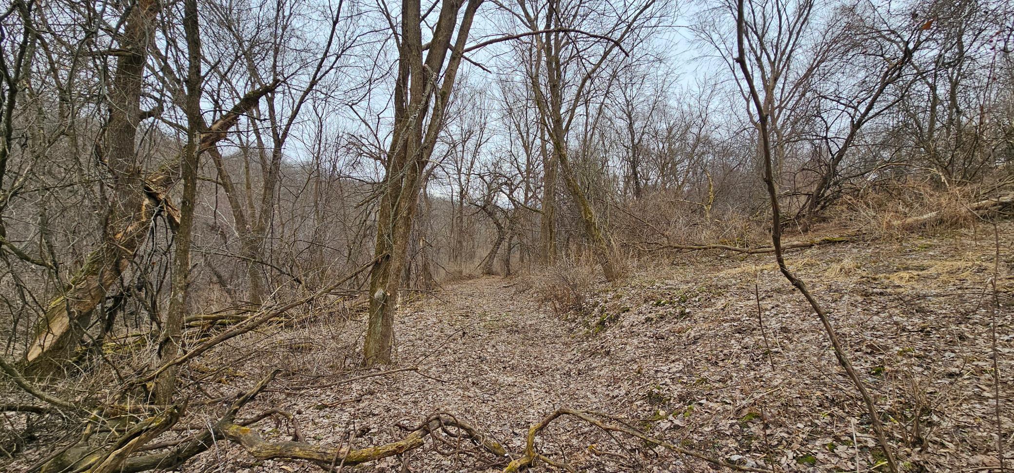 8492 Glory Road Houston, MN 55943 - Photo 68 of 111