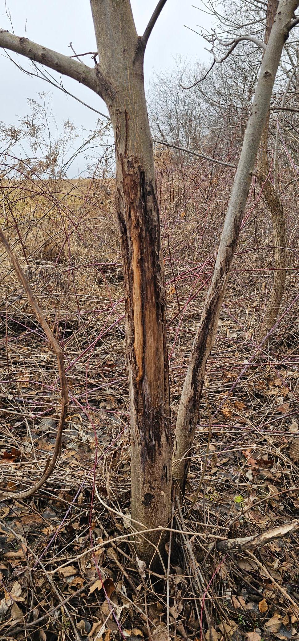 8492 Glory Road Houston, MN 55943 - Photo 69 of 111