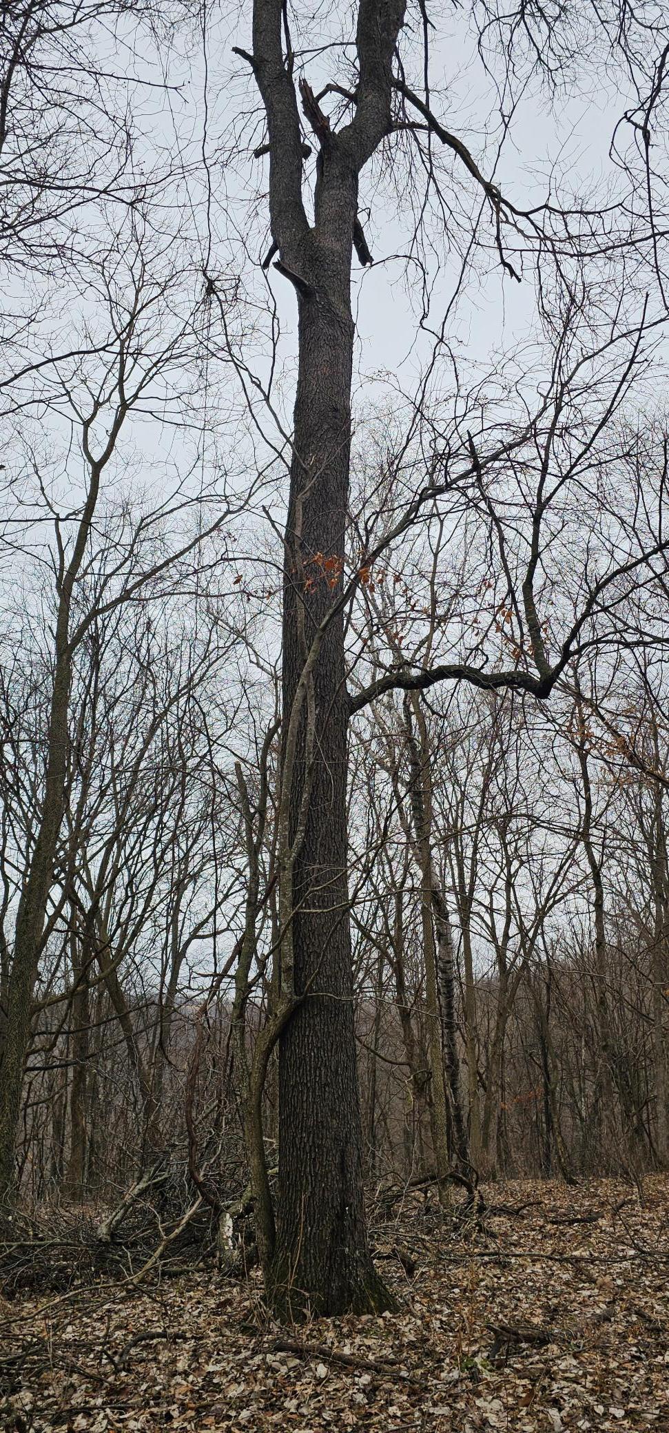 8492 Glory Road Houston, MN 55943 - Photo 70 of 111