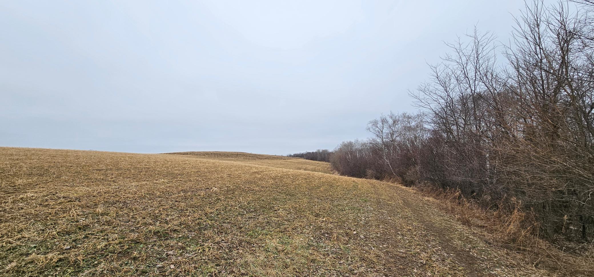 8492 Glory Road Houston, MN 55943 - Photo 71 of 111