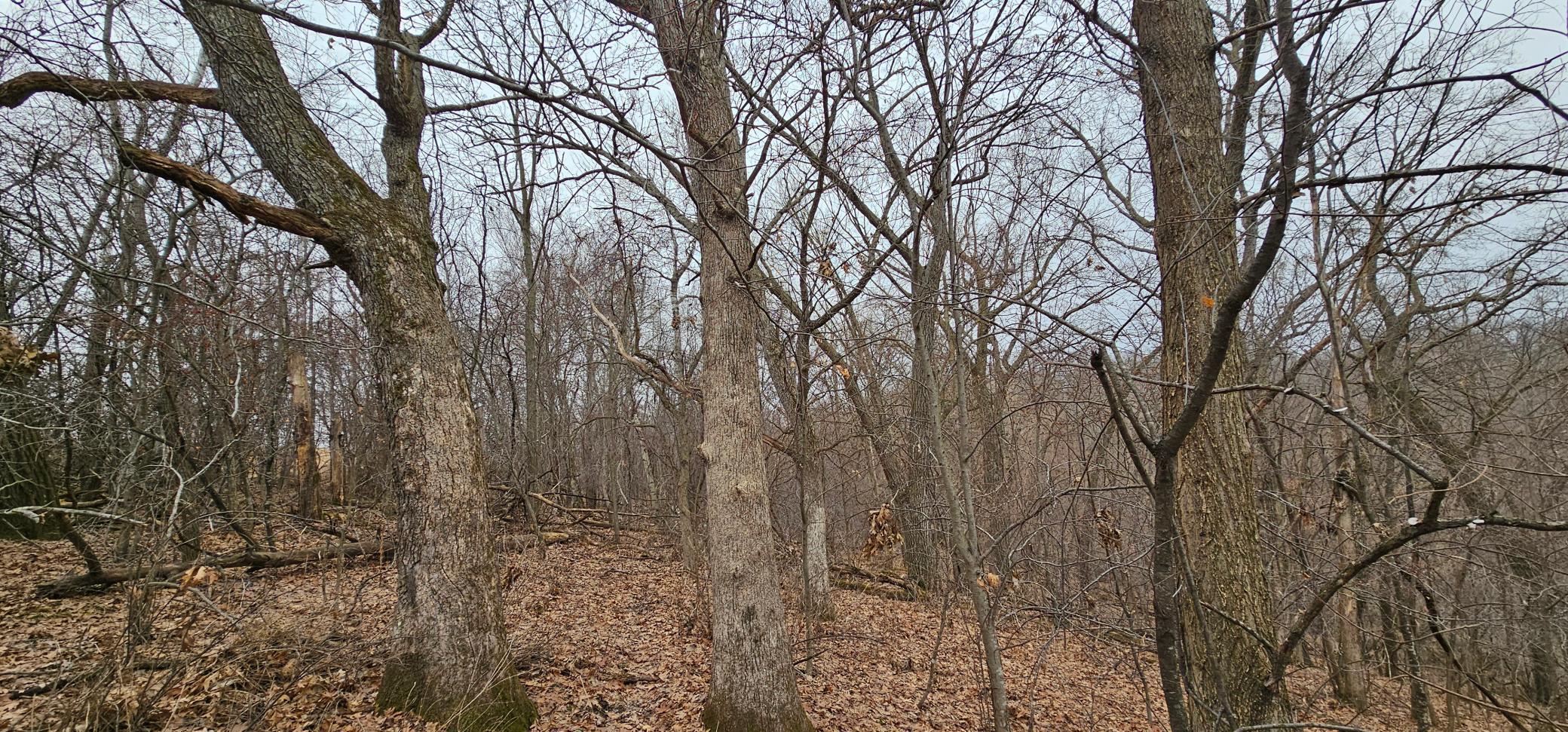 8492 Glory Road Houston, MN 55943 - Photo 72 of 111