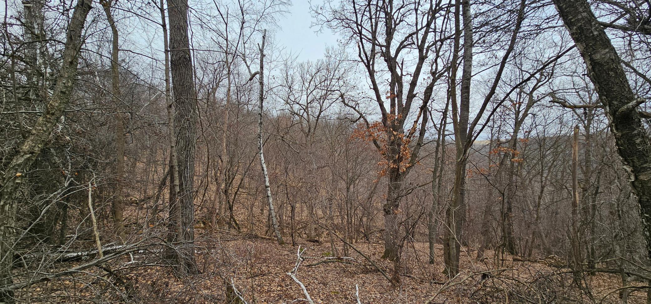 8492 Glory Road Houston, MN 55943 - Photo 73 of 111