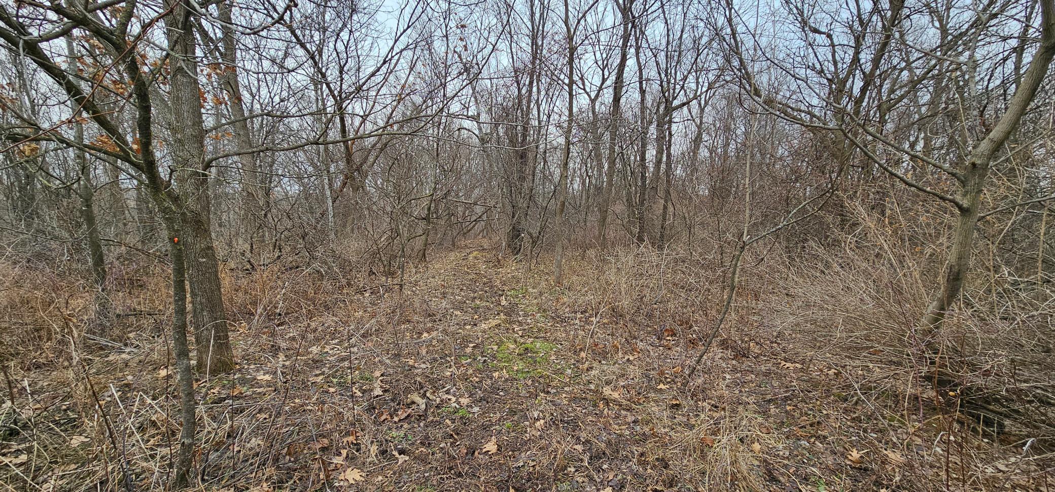 8492 Glory Road Houston, MN 55943 - Photo 74 of 111