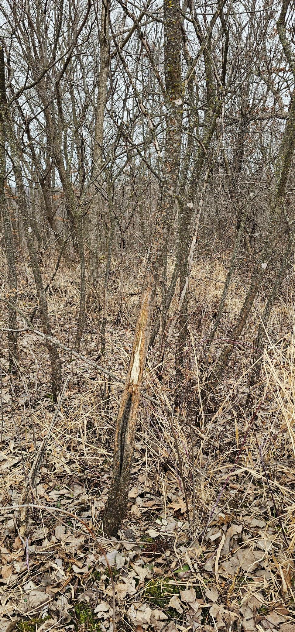 8492 Glory Road Houston, MN 55943 - Photo 75 of 111