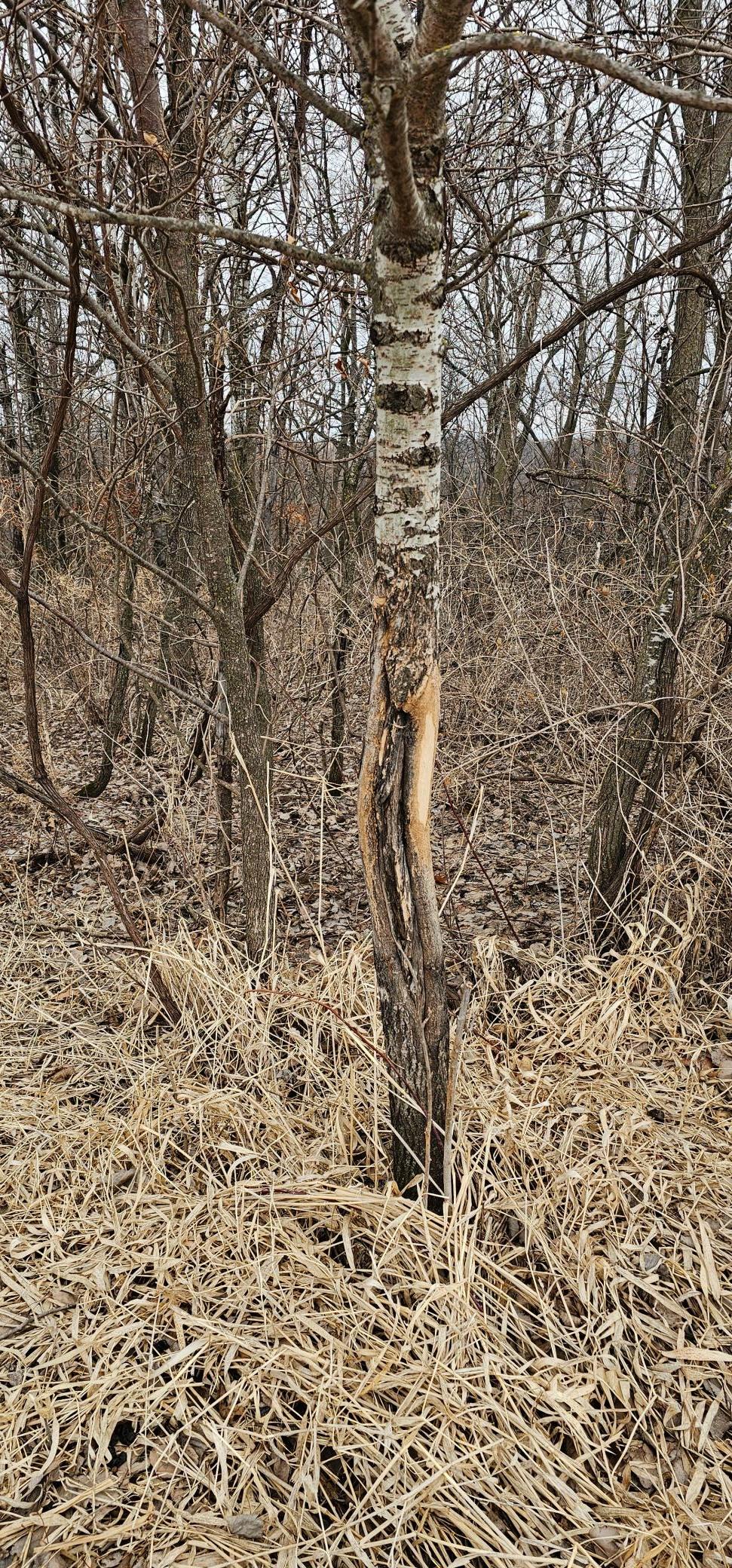 8492 Glory Road Houston, MN 55943 - Photo 76 of 111