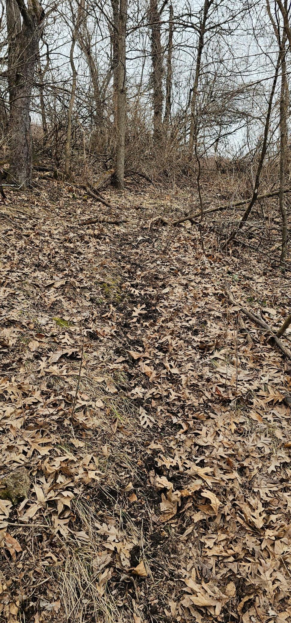 8492 Glory Road Houston, MN 55943 - Photo 78 of 111