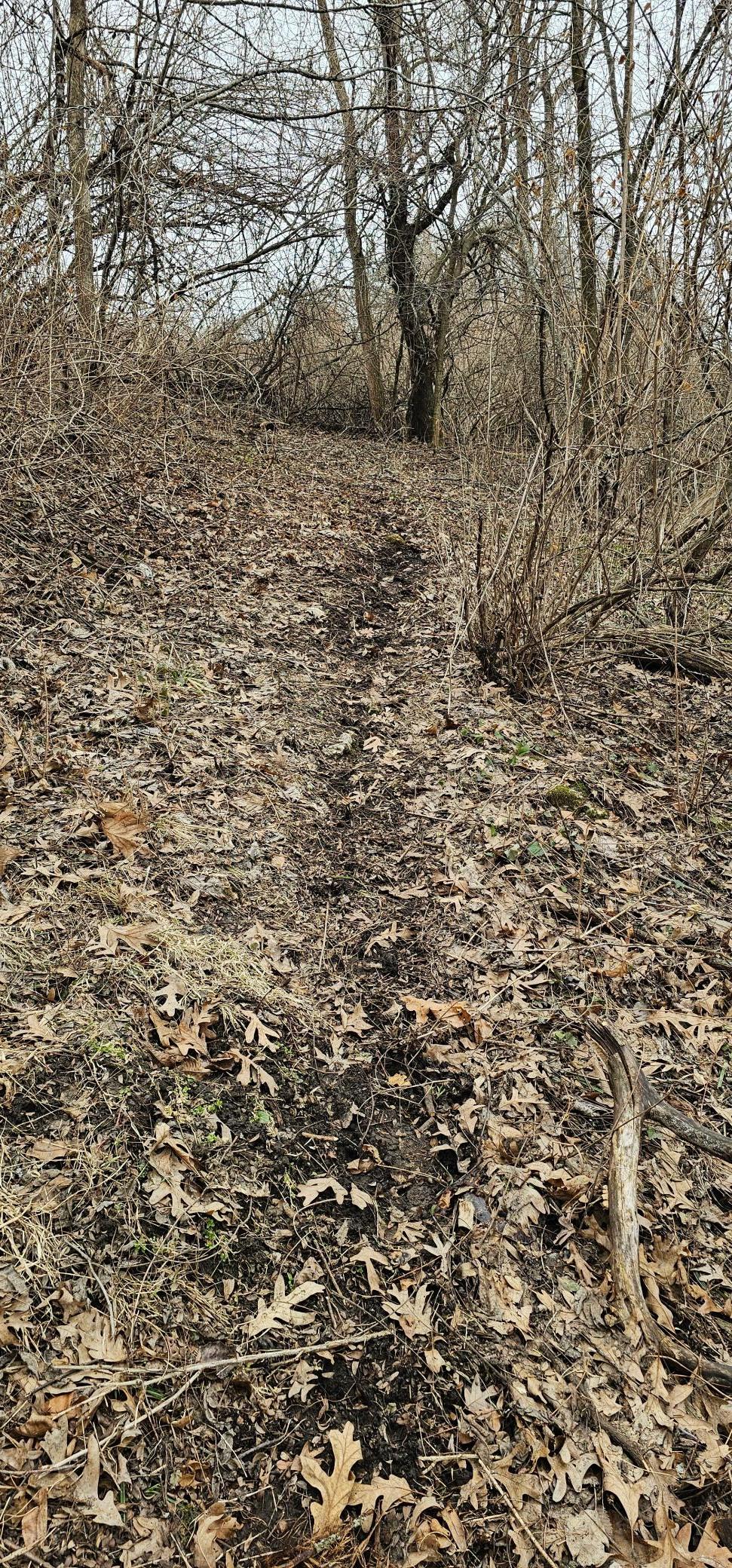 8492 Glory Road Houston, MN 55943 - Photo 79 of 111