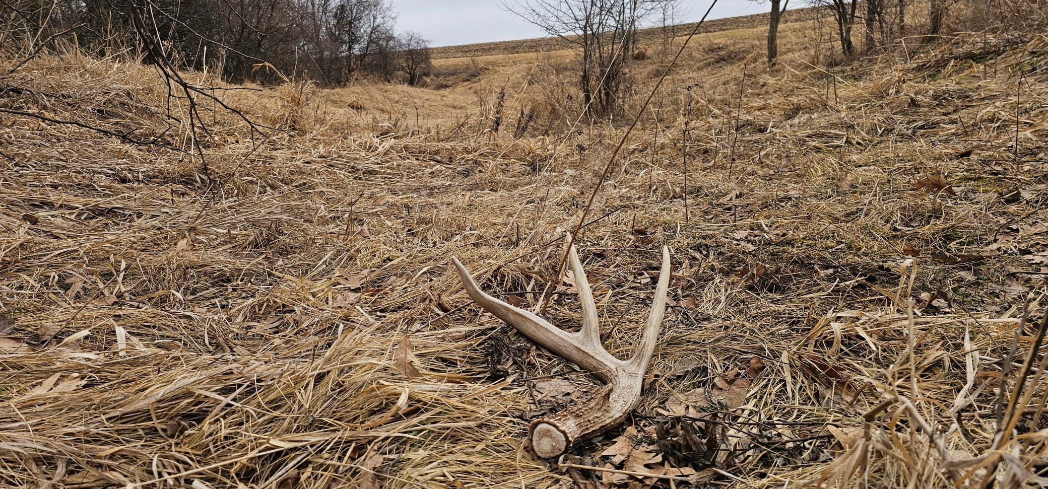 8492 Glory Road Houston, MN 55943 - Photo 9 of 111