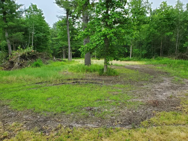 $219,900 | 5242 South Forest Drive, Baldwin, MI 49304