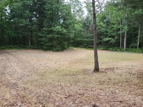 $219,900 | 5242 South Forest Drive, Baldwin, MI 49304