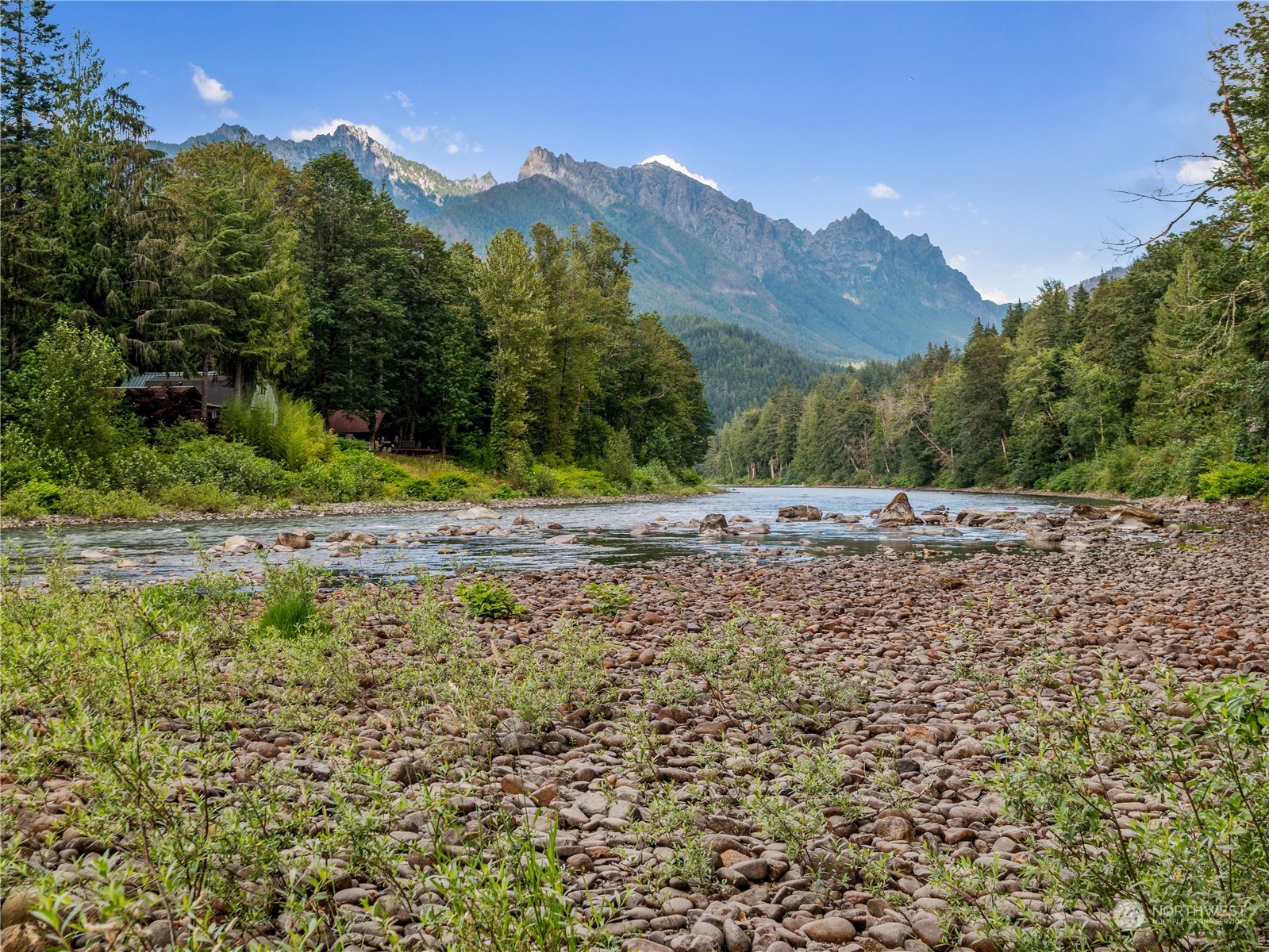 51417 South Riverside Road Gold Bar, WA 98251 - Photo 40 of 40 a view of a dry yard with trees