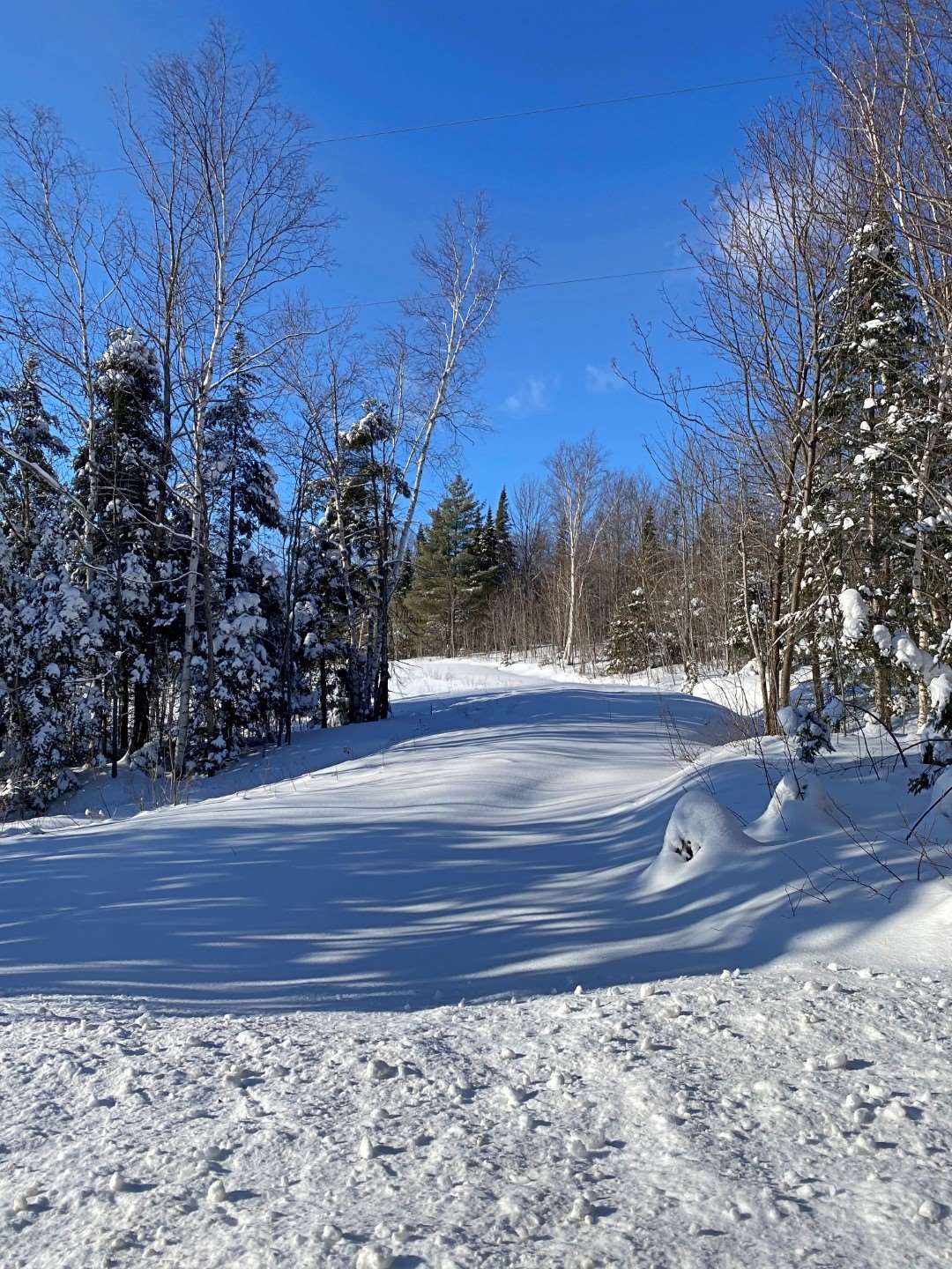 1269 Hinton Hill Road Westmore, VT 05860 - Photo 15 of 16 Gallery Image 15