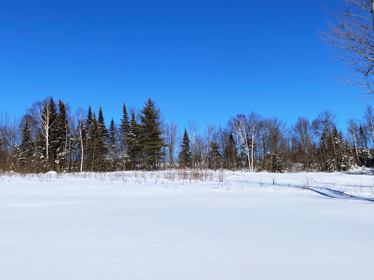 1269 Hinton Hill Road Westmore, VT 05860 - Photo 16 of 16 Gallery Image 16